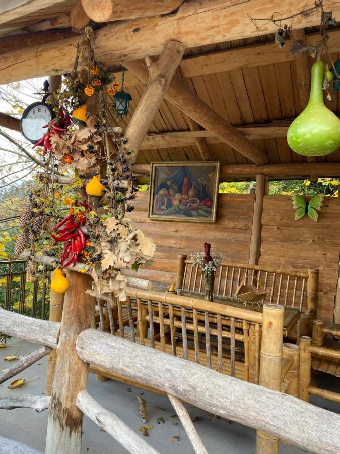 Anano'S Guesthouse Borjomi Exterior photo