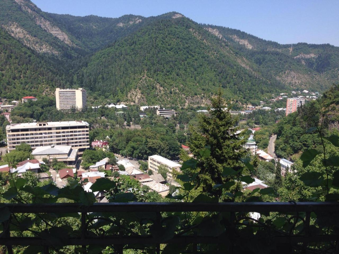 Anano'S Guesthouse Borjomi Exterior photo