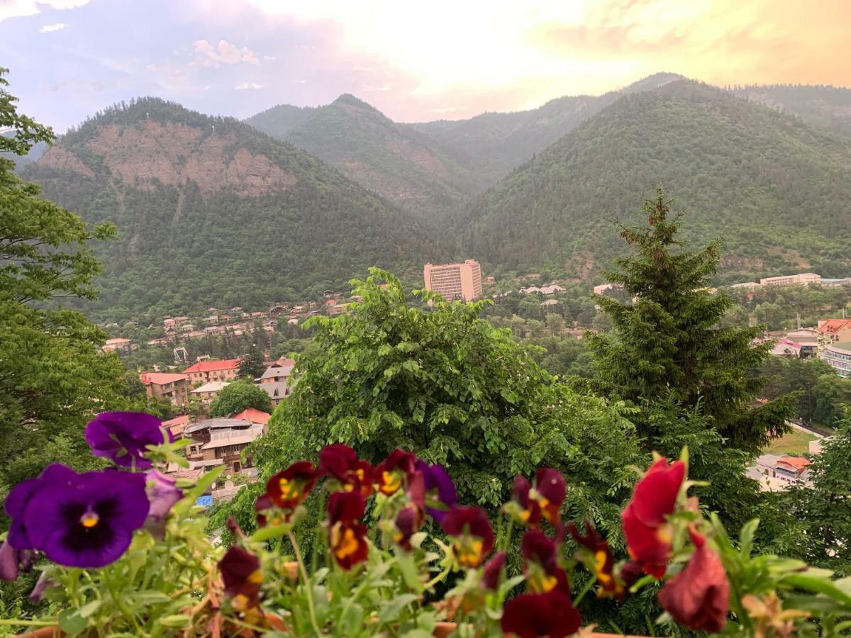 Anano'S Guesthouse Borjomi Exterior photo