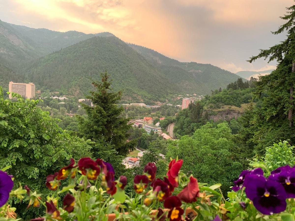 Anano'S Guesthouse Borjomi Exterior photo